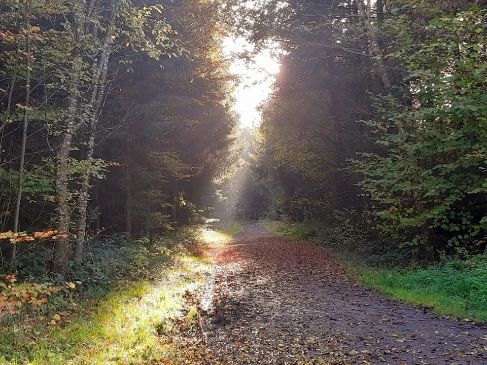 Soin au Rythme de la Nature